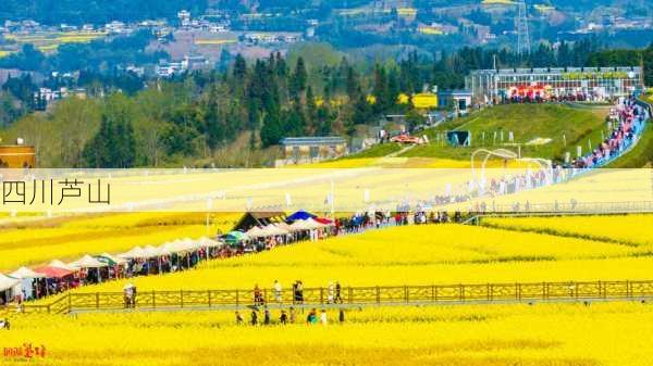 四川芦山