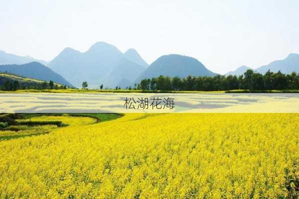 松湖花海