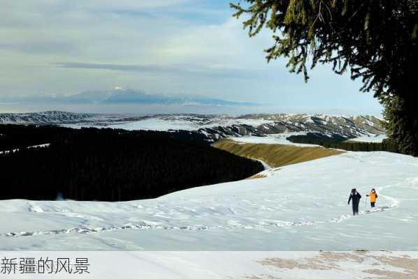 新疆的风景