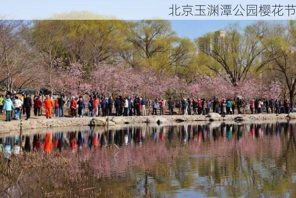 北京玉渊潭公园樱花节