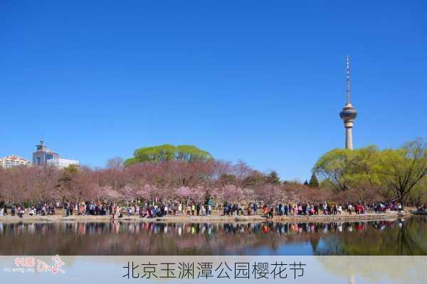 北京玉渊潭公园樱花节