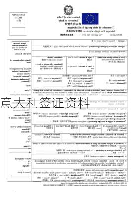 意大利签证资料