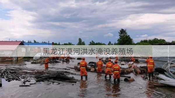 黑龙江漠河洪水淹没养殖场