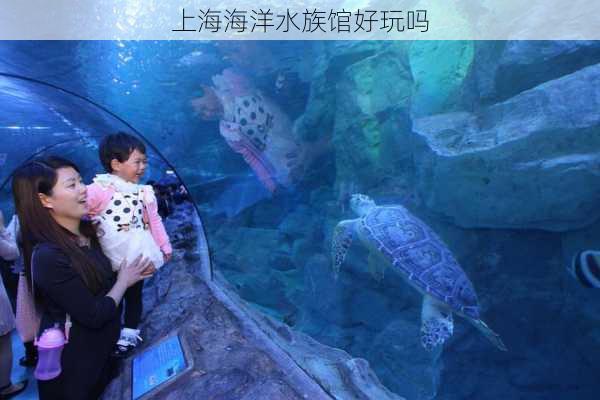 上海海洋水族馆好玩吗