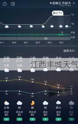 江西丰城天气