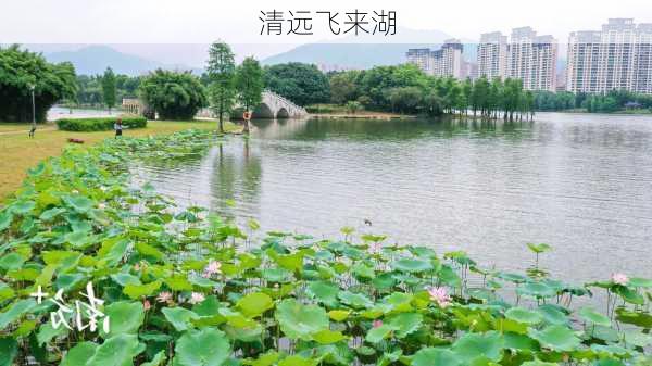 清远飞来湖