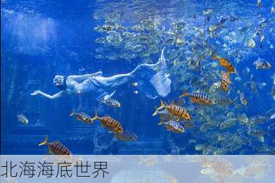 北海海底世界