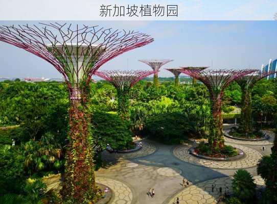 新加坡植物园