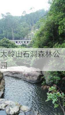 大岭山石洞森林公园