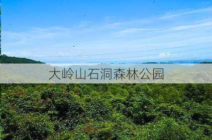 大岭山石洞森林公园