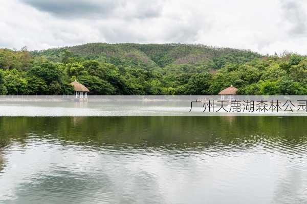 广州天鹿湖森林公园